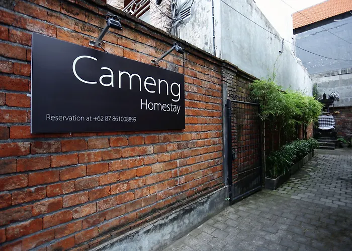 Cameng